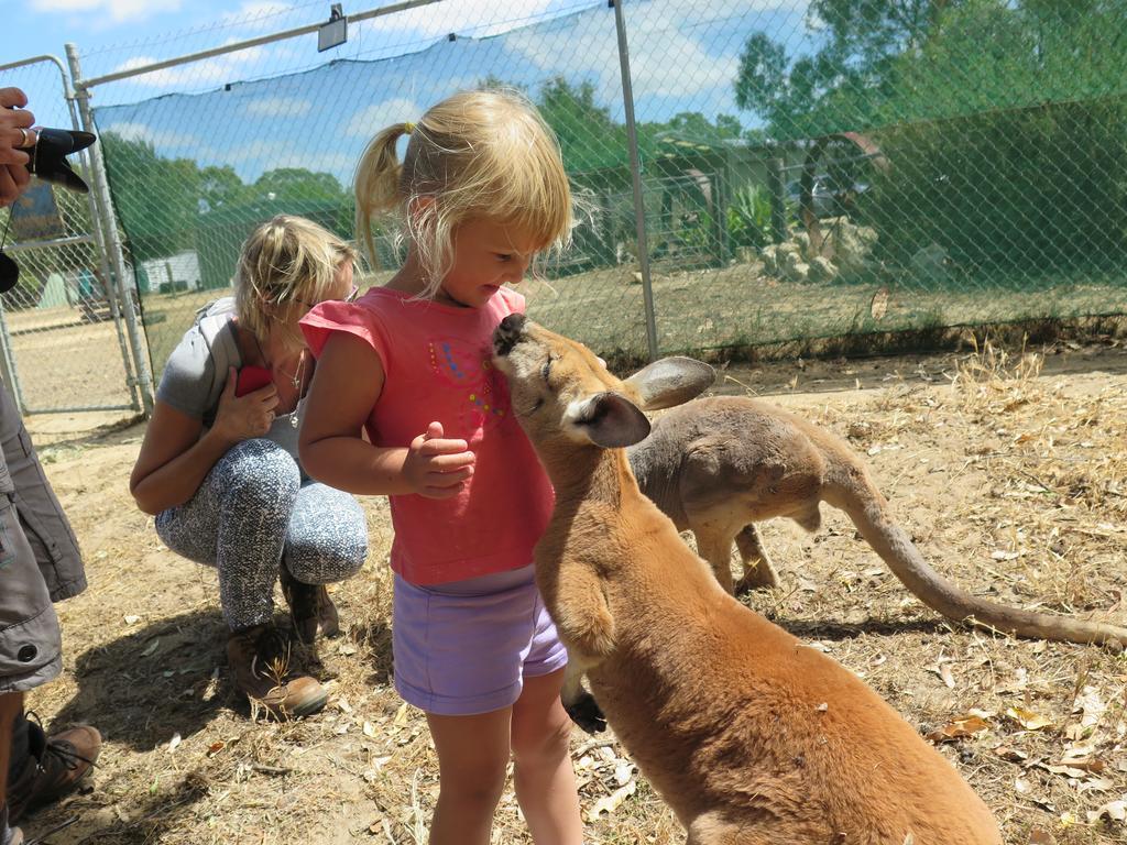 Jurien Beachfront Holiday Units Villa Jurien Bay Rum bild